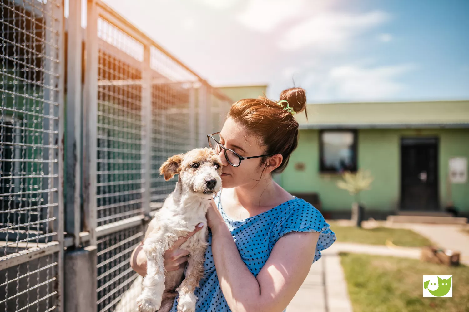 Mitgliedschaft - Frau kuschelt mit einem Hund in einem Tierheim Mitgliedschaft - Frau kuschelt mit einem Hund in einem Tierheim