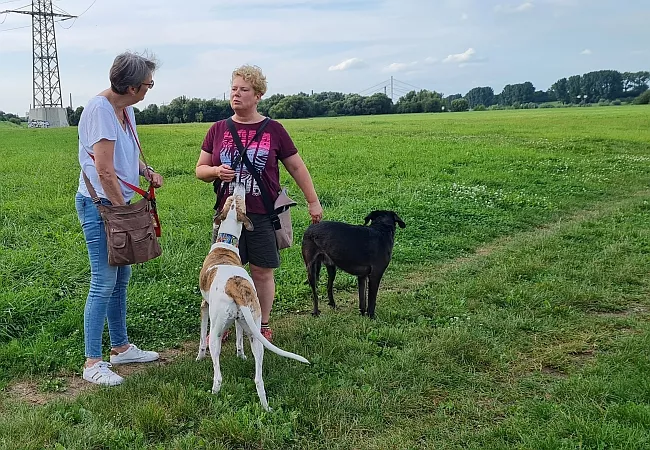 Hundehalterinnen im Gespräch Hundehalterinnen im Gespräch